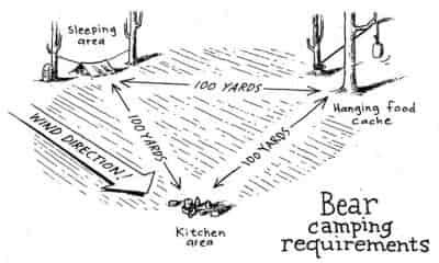 Backcountry bear safety