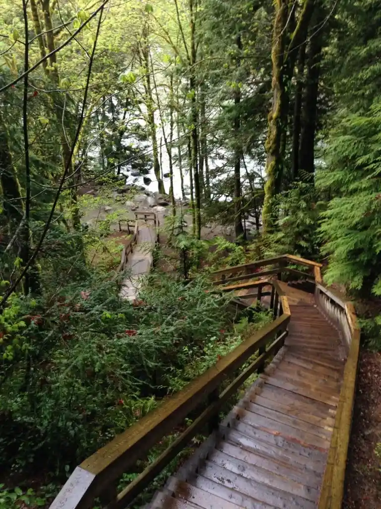 Boardwalks and stairs in Lynn Canyon