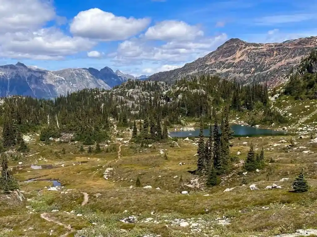 A spiderweb of social trails through an alpine meadow near Pemberton