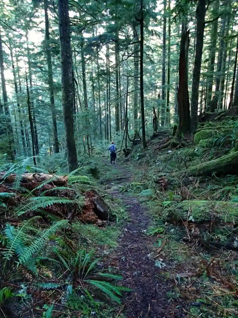 Trail to the Big Cedar and Kennedy Falls near Vancouver