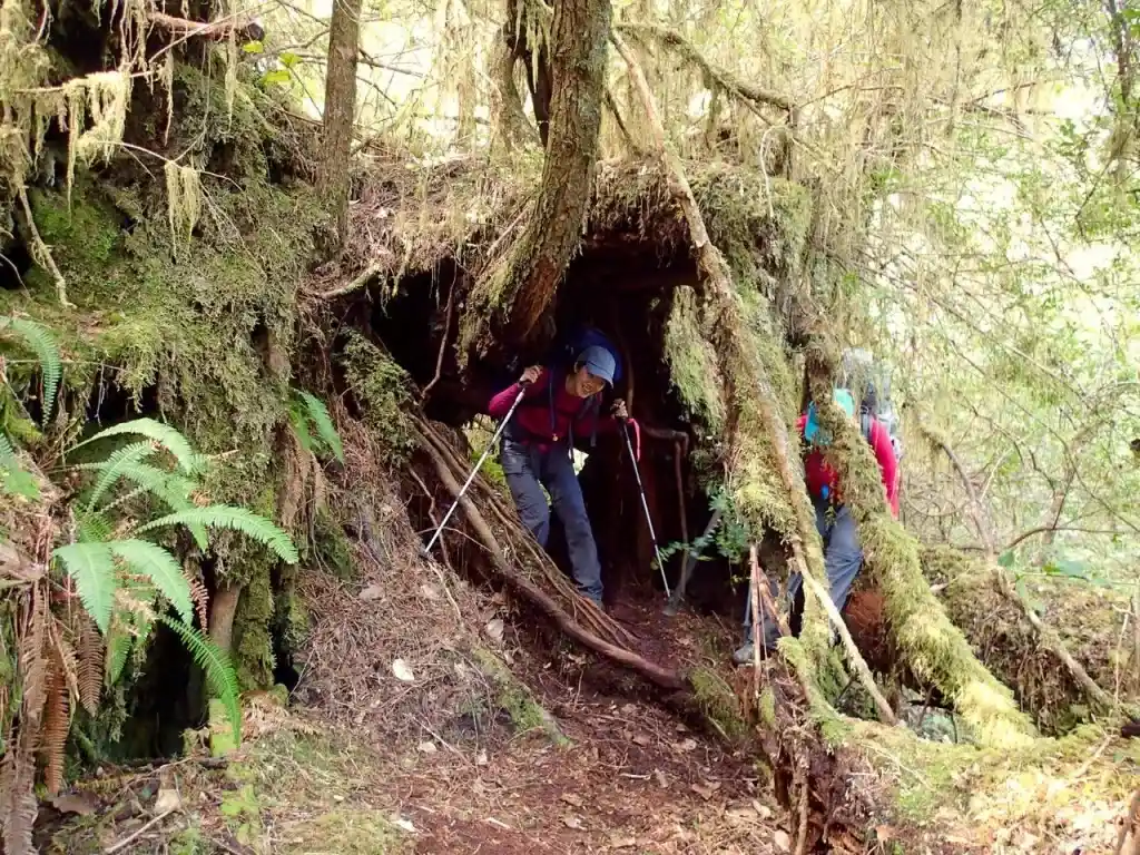 Hiking the The high tide shortcut on the the Wild Side Trail near Tofino, BC
