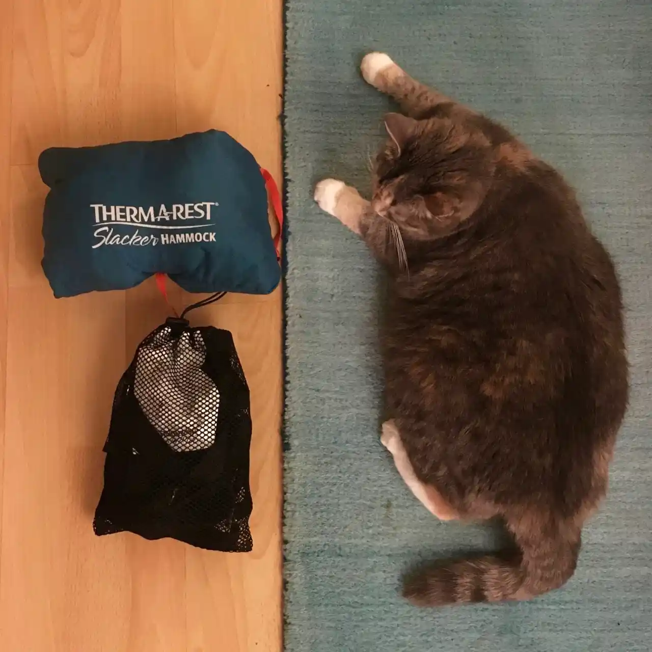 Slacker Hammock Review