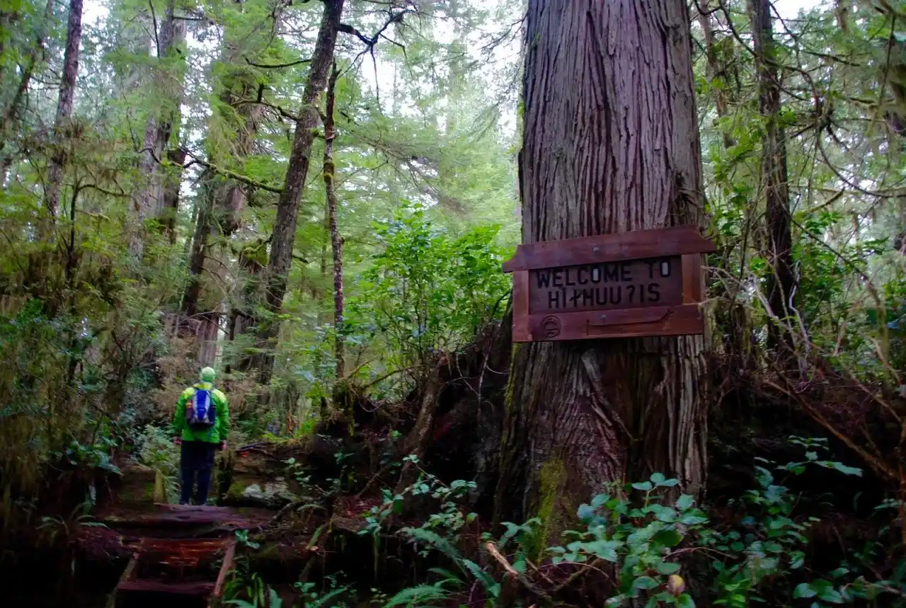Big Tree Trail, Meares Island, Tofino BC