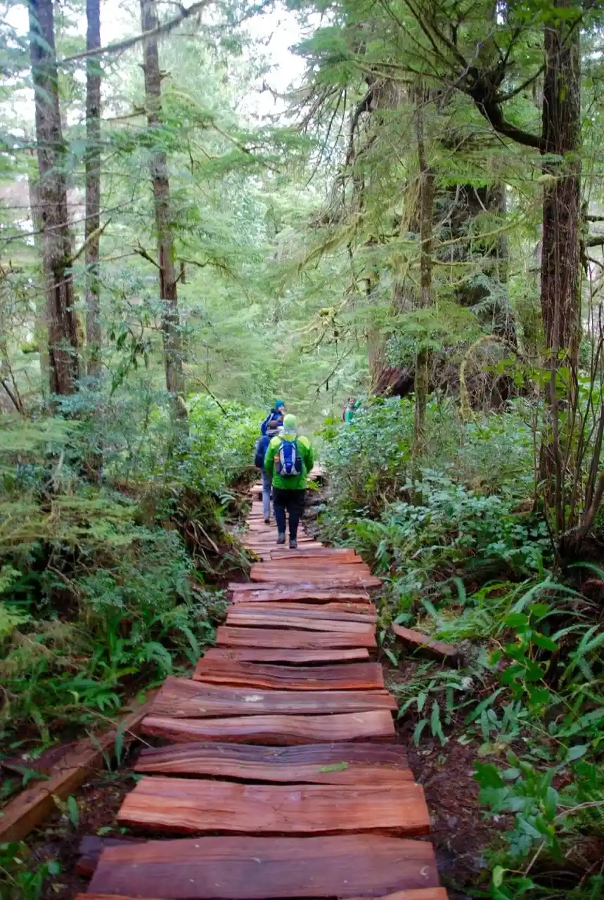 Big Tree Trail, Meares Island, Tofino BC