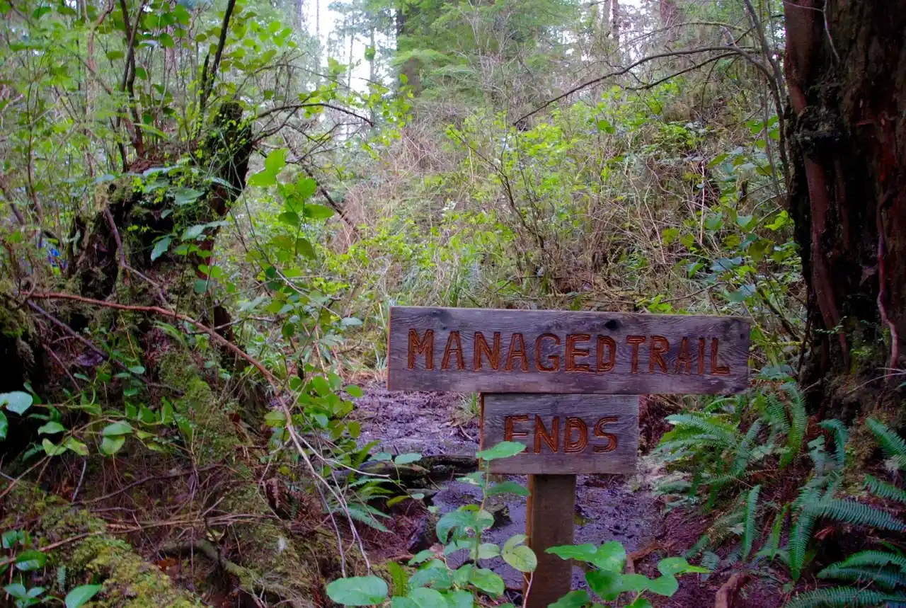 Big Tree Trail, Meares Island, Tofino BC