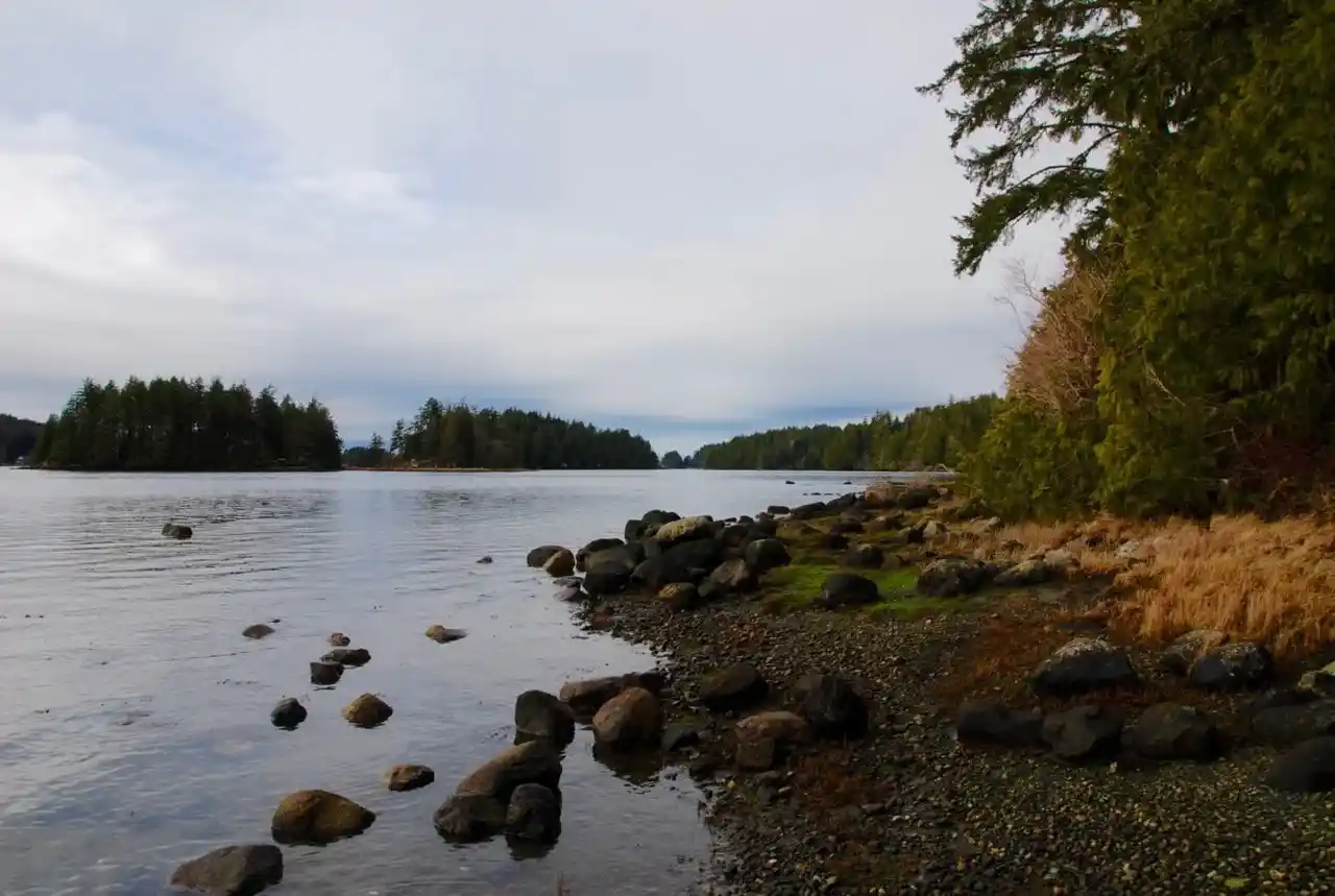 Big Tree Trail, Meares Island, Tofino BC