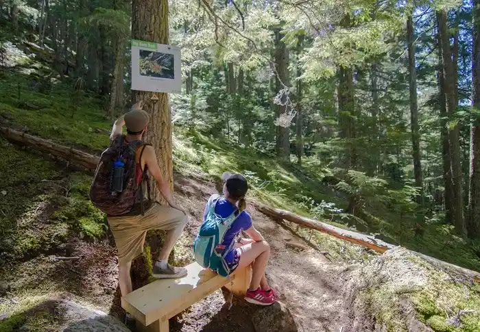 The Blackcomb Burn is Whistler's answer to the Grouse Grind.