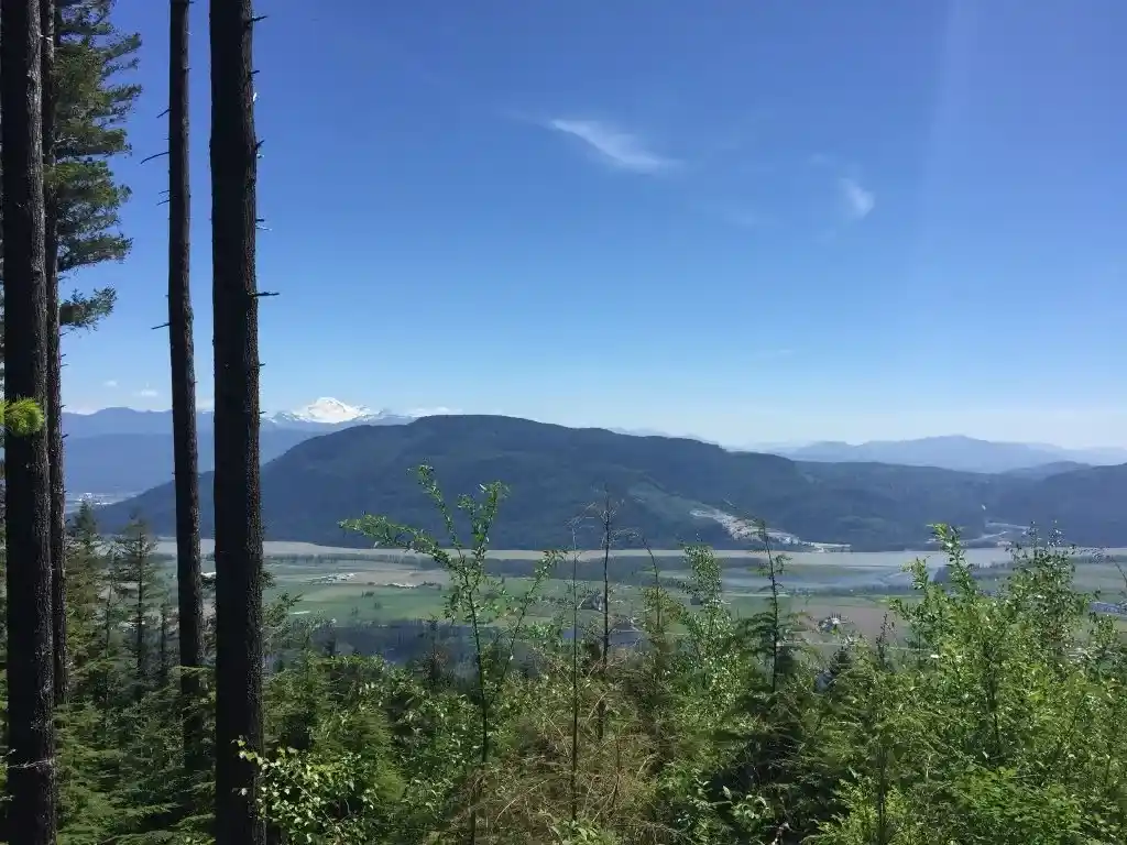 The Dewdney Grind in Mission BC is very steep! Even steeper than the Grouse Grind.