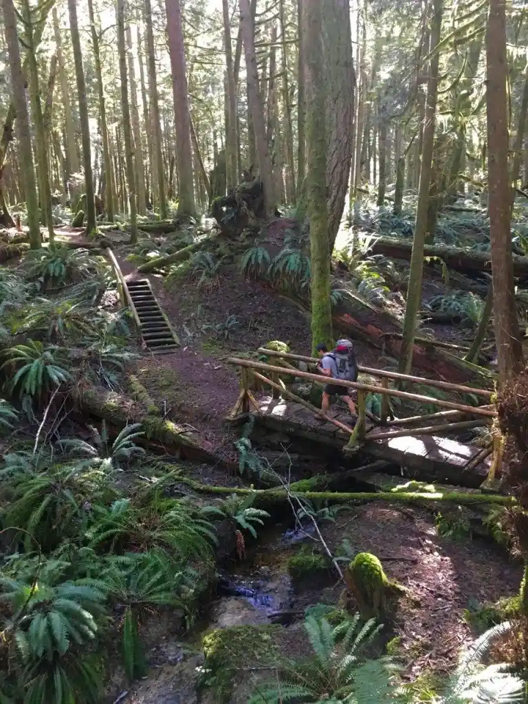Backpacking the Sunshine Coast Trail