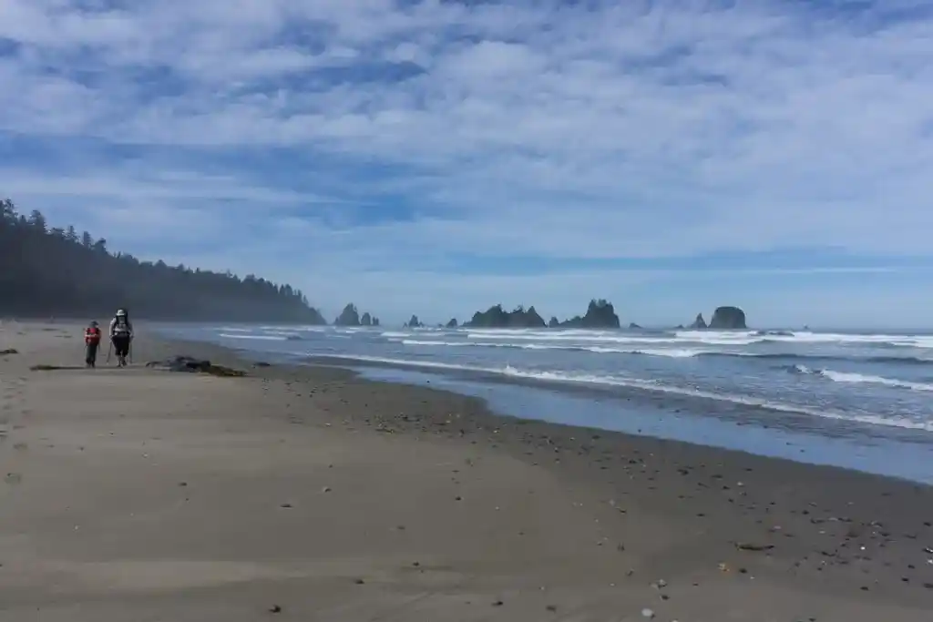 Hiking on Shi Shi Beach. A complete guide to hiking and camping at Shi Shi Beach.
