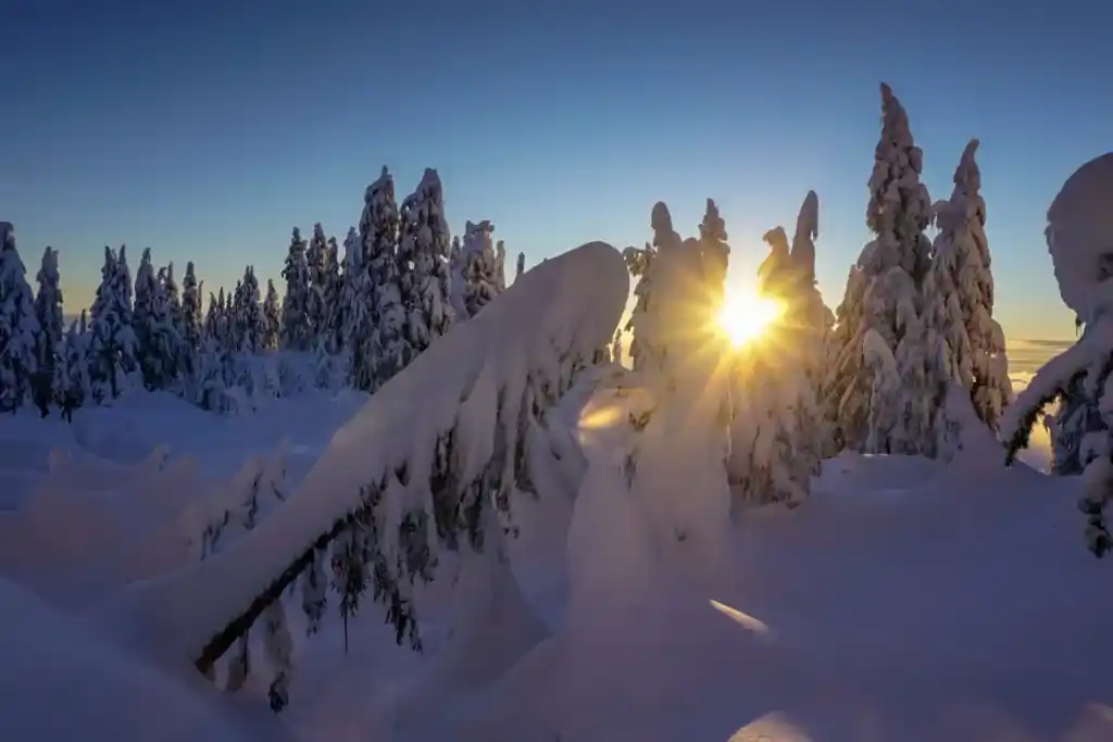 Snowshoeing at Grouse Mountain near Vancouver, BC. The Ultimate Guide to Snowshoeing in Vancouver.