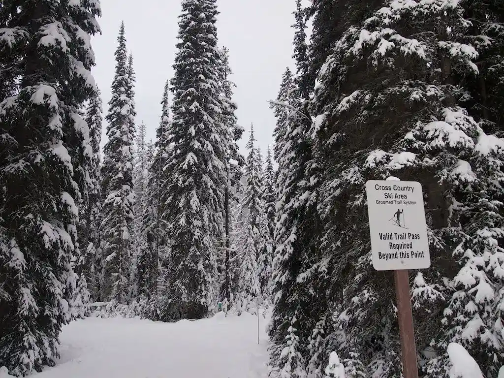 Snowshoeing on the Lodge Trails in Manning Park. Read about how to snowshoe here in the Ultimate Guide to Snowshoeing in Manning Park near Vancouver, BC, Canada