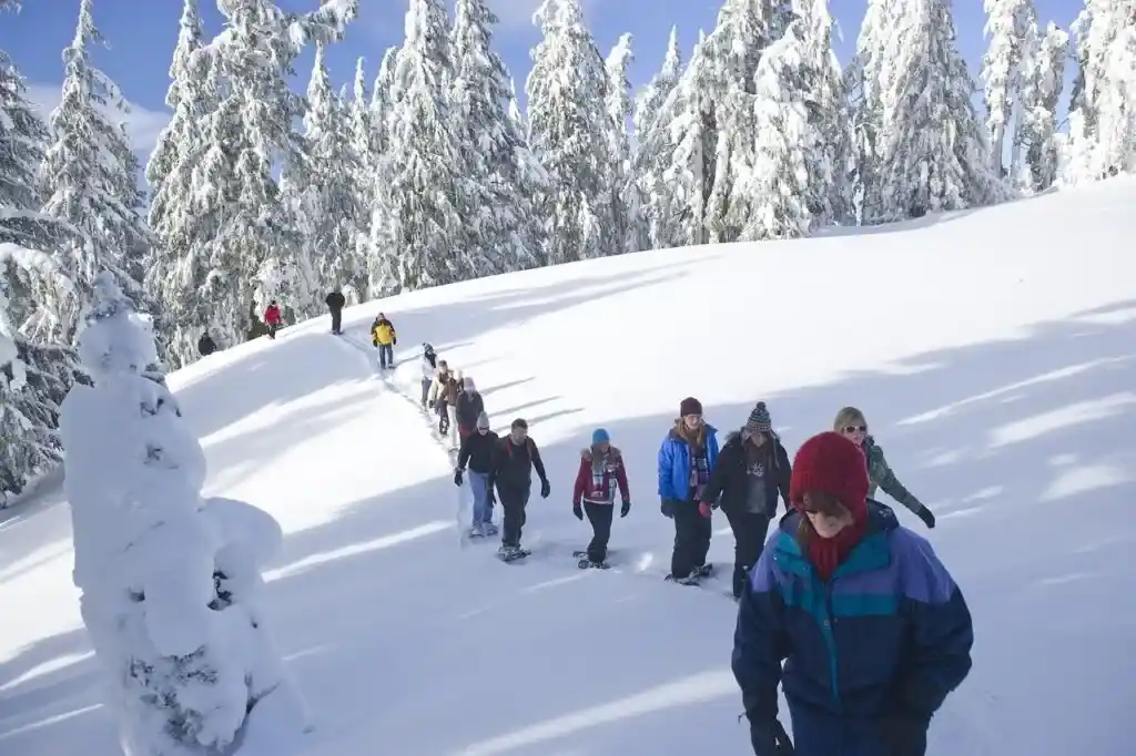 Snowshoeing at Manning Park