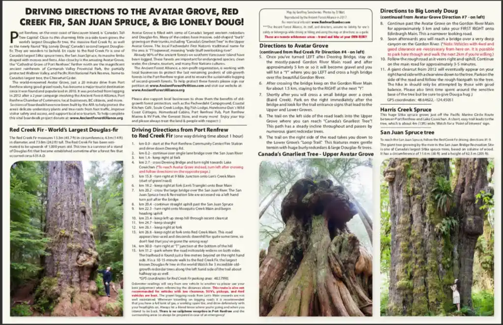 Driving directions to Avatar Grove, Big Lonely Doug and more from the Ancient Forest Alliance. Visit Big Lonely Doug, Avatar Grove and the other big trees near Port Renfrew, British Columbia.