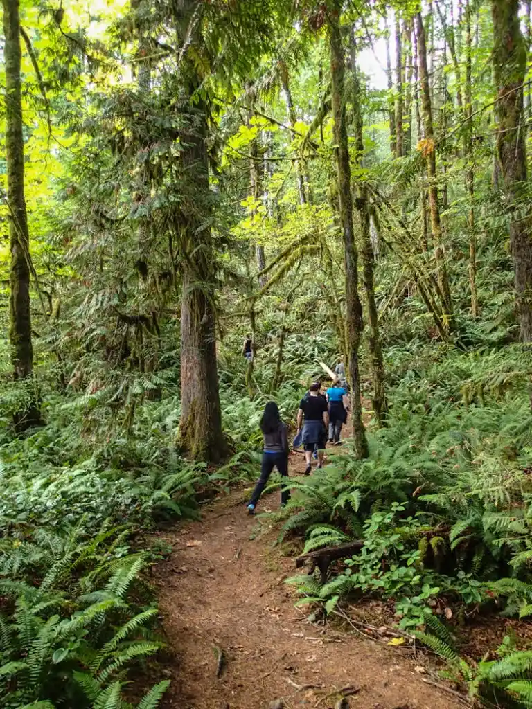 Hiking the Cowichan River Footpath in the Cowichan Valley. It's a great side trip from the Pacific Marine Circle Route on Vancouver Island.
