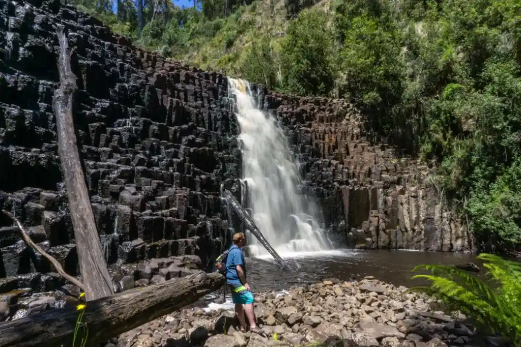 Dip Falls in Tasmania's north west