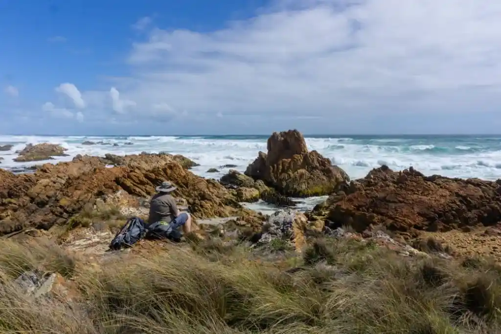 Arthur River Coastal Walk on the Tarkine Drive in Tasmania