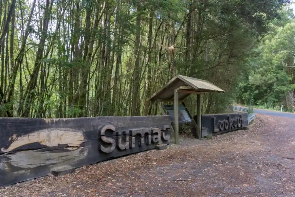 Sumac Lookout on the Tarkine Drive in Tasmania