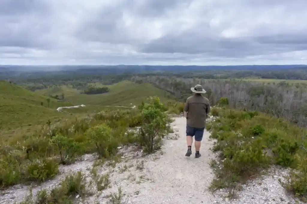 Milkshake Hills on the Tarkine Drive in Tasmania
