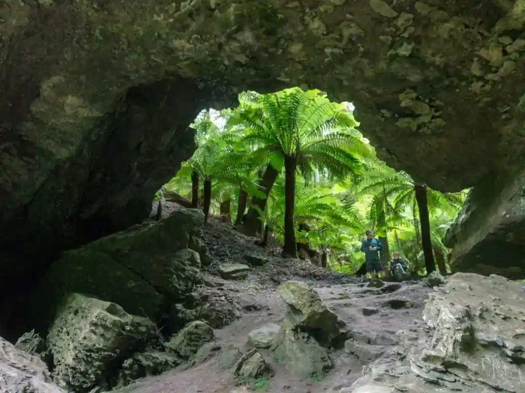 Trowutta Arch on the Tarkine Drive in Tasmania