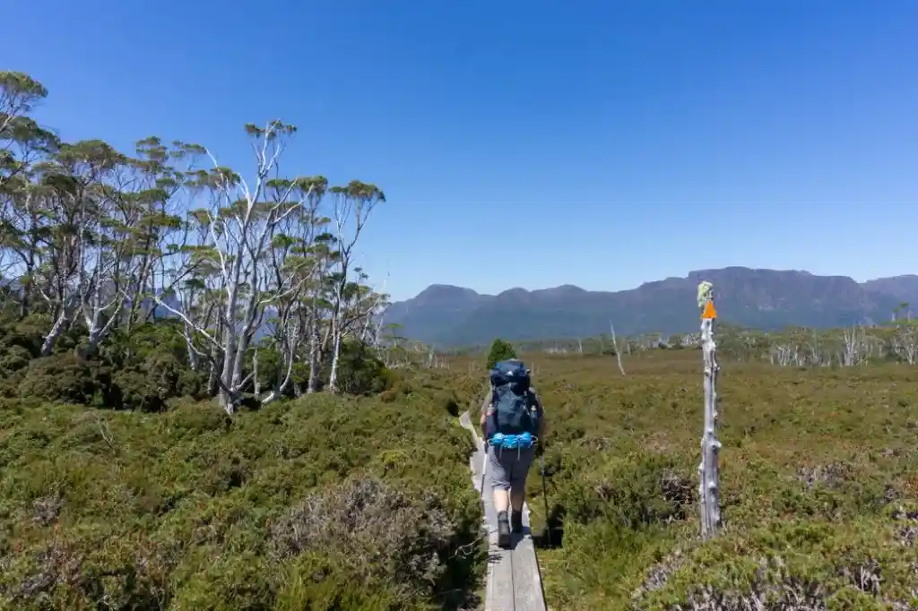Walking the Overland Track in Tasmania with the Gregory Stout backpack. Find out what to bring with this Overland Track packing list.