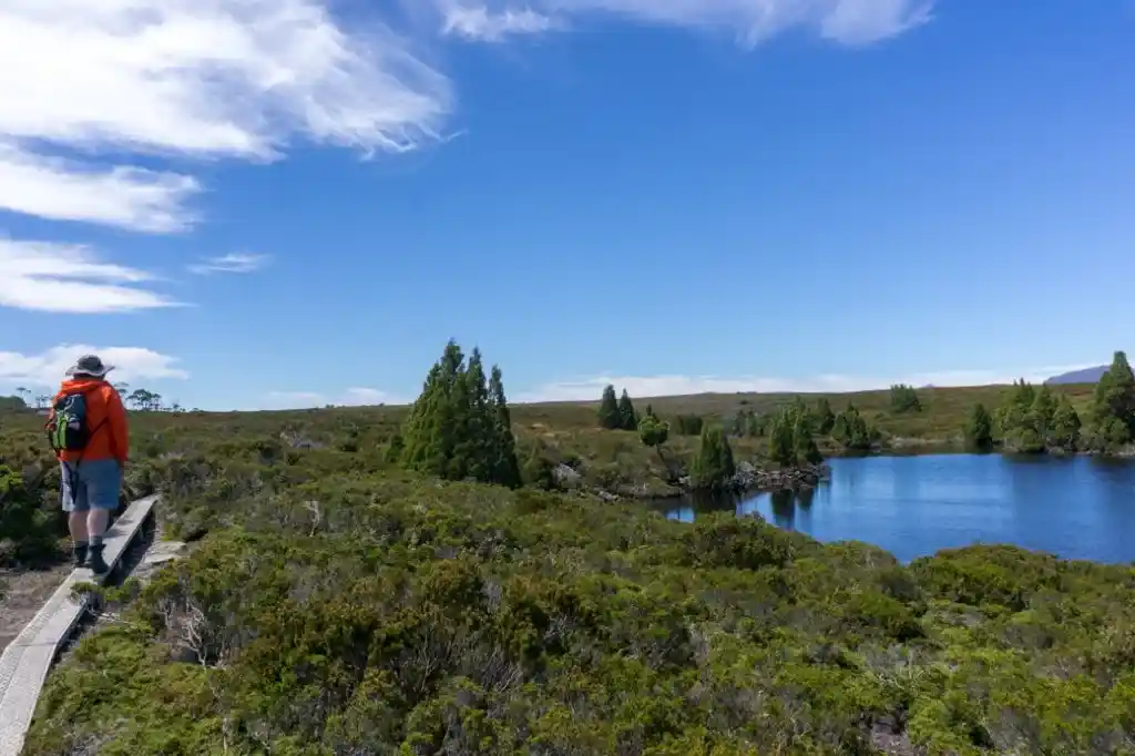 Hiking back from Lake Will. Take a day pack on all your Overland Track side trips for safety.