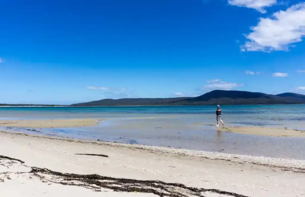 A man walks in the shallow waters of Shoal Bay in Tasmania
