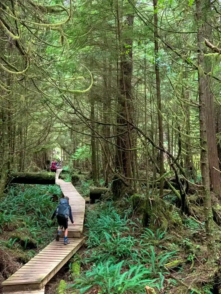 Hikers walk on a long boardwalk near Nitinaht Narrows on the West Coast Trail