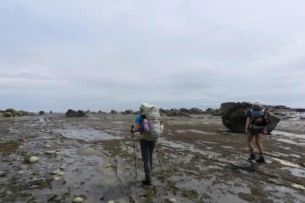 Hikers walk on the sandstone shelf on the West Coast Trail