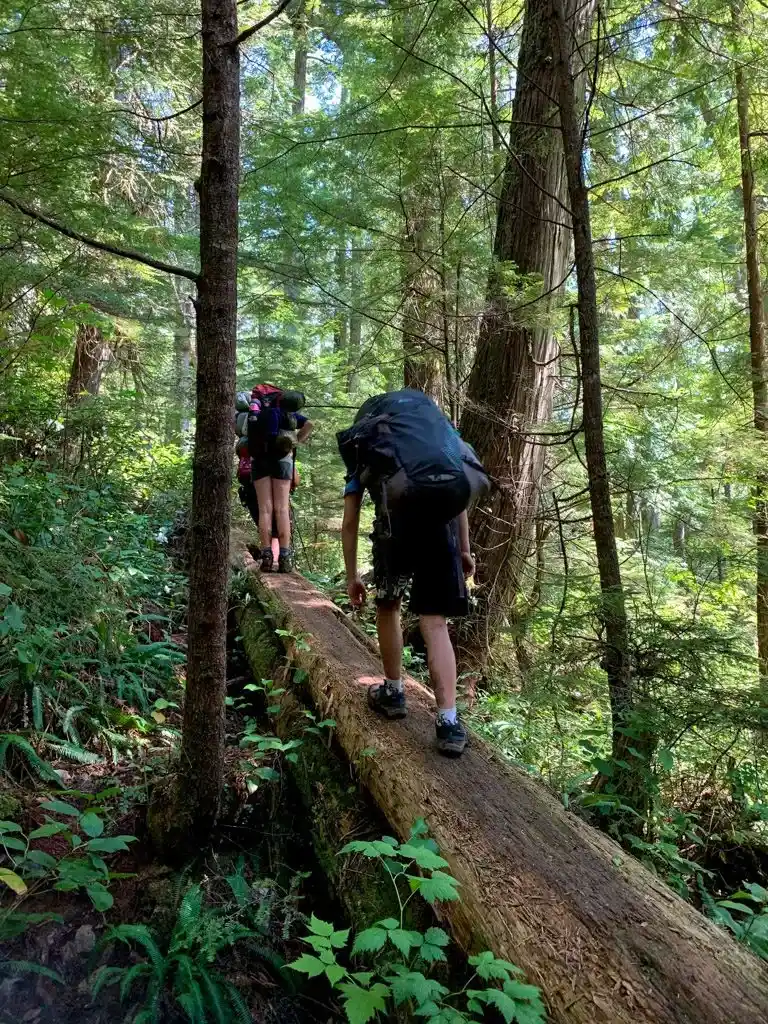 One of the log crossings on the West Coast Trail