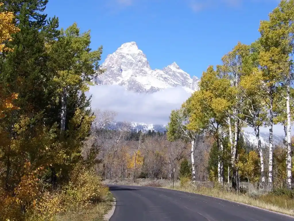 Moose-Wilson Road in Grand Teton National Park