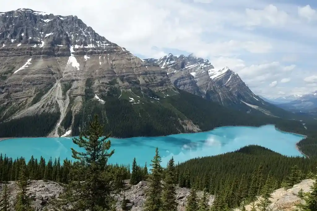 Peyto Lake in Banff National Park