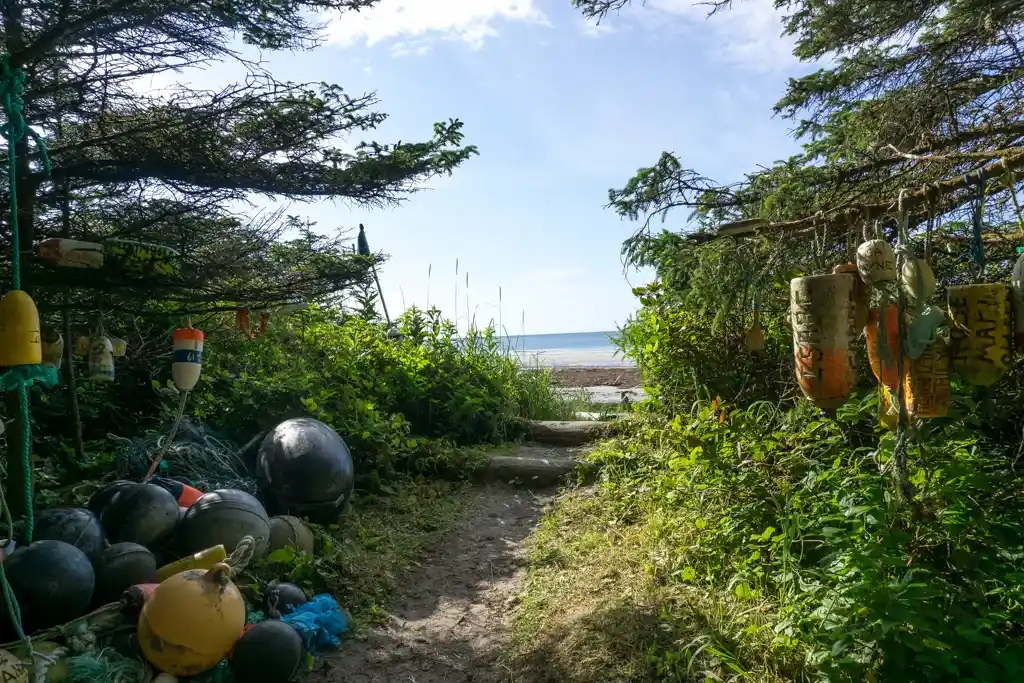 Arriving at Nel's Bight on Northern Vancouver Island
