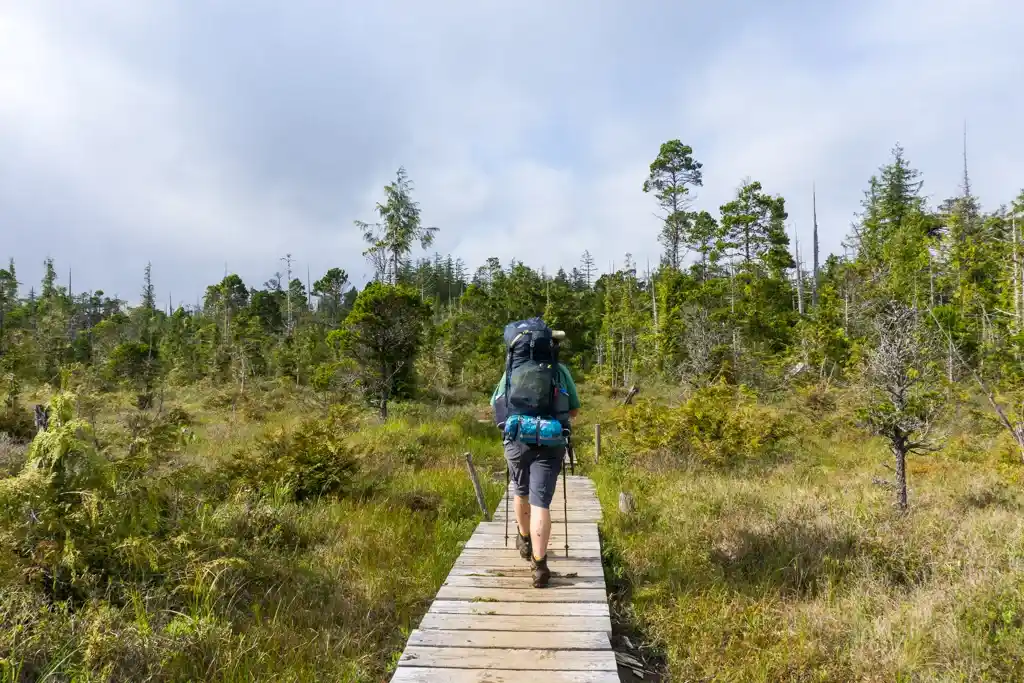 Boardwalk on the Cape Scott Trail