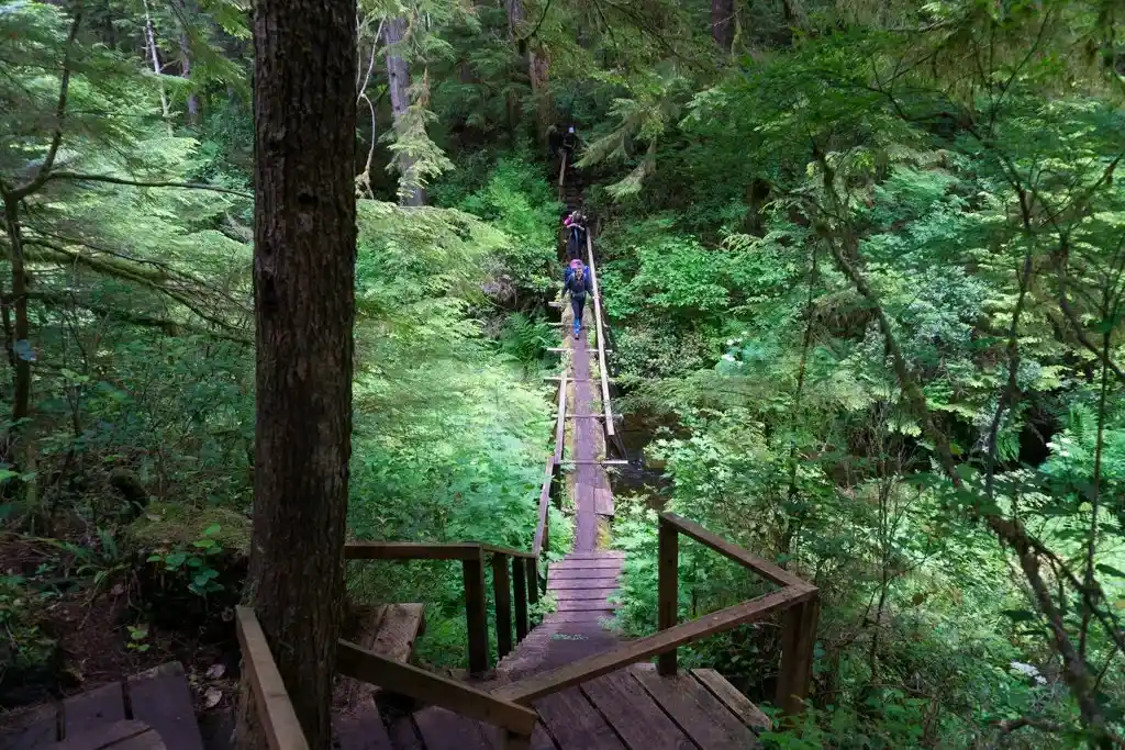 Bridge on the Cape Scott Trail near Eric Lake