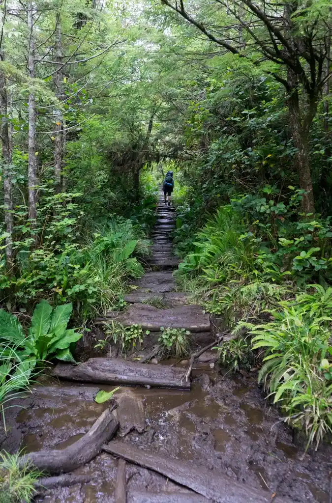 Cape Scott Trail between the trailhead and Eric Lake