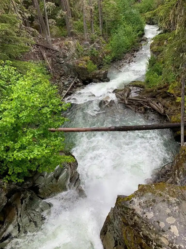 View of Wedge Creek from the trail to Parkhurst