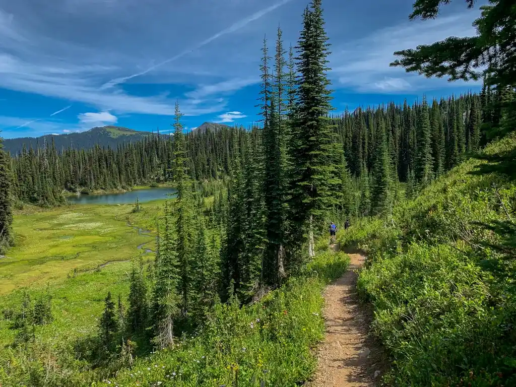 Mountain bikes on the Keystone Standard Basin Trail near Revelstoke