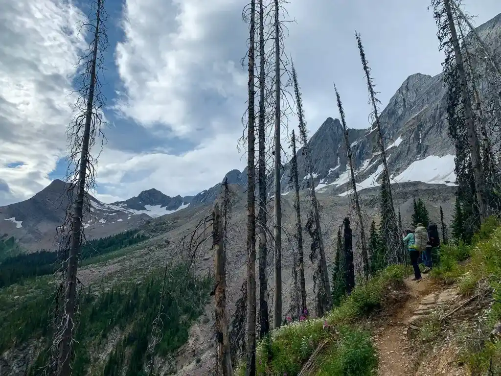 Descending through the burned forest from Floe Lake