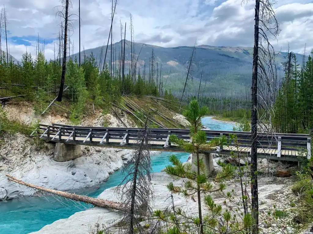 Bridge over the Vermillion River on the Floe Lake Trail