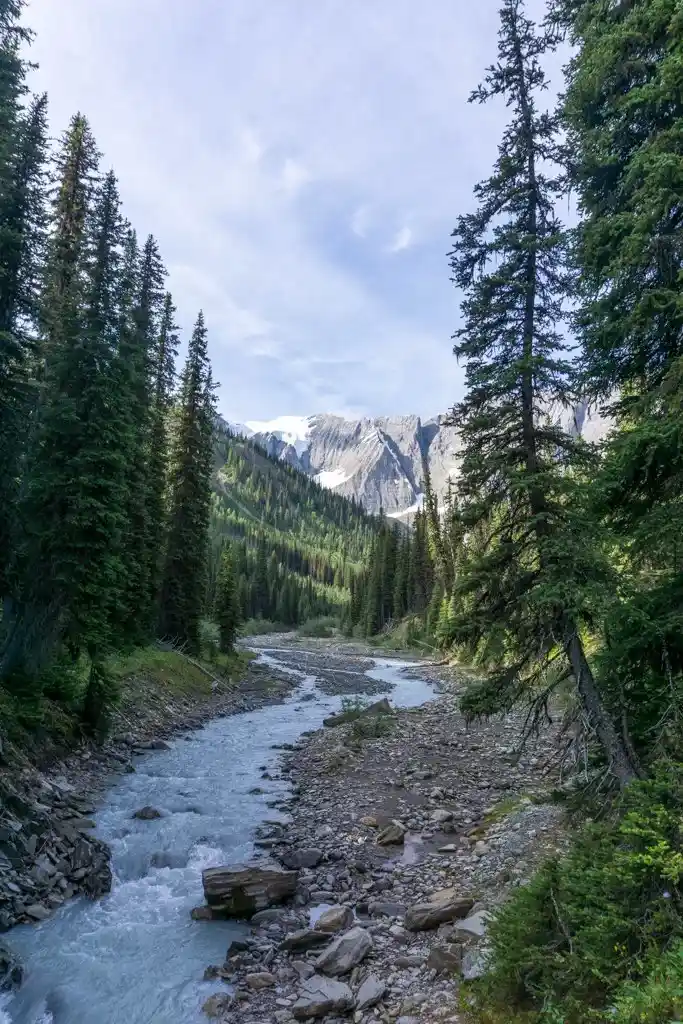Rockwall Trail near Tumbling Creek Camp