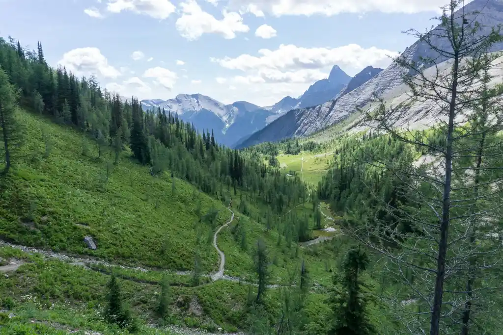 Descending from Tumbling Pass on the Rockwall Trail