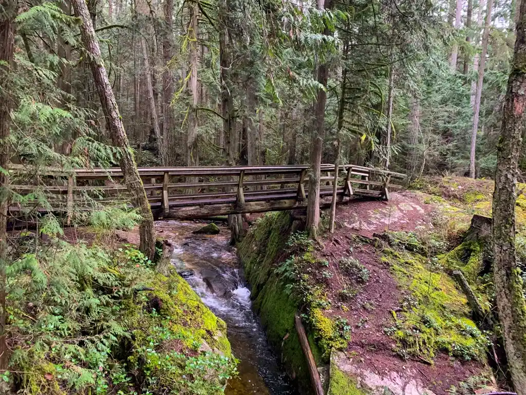 A bridge over a creek in Roberts Creek, BC