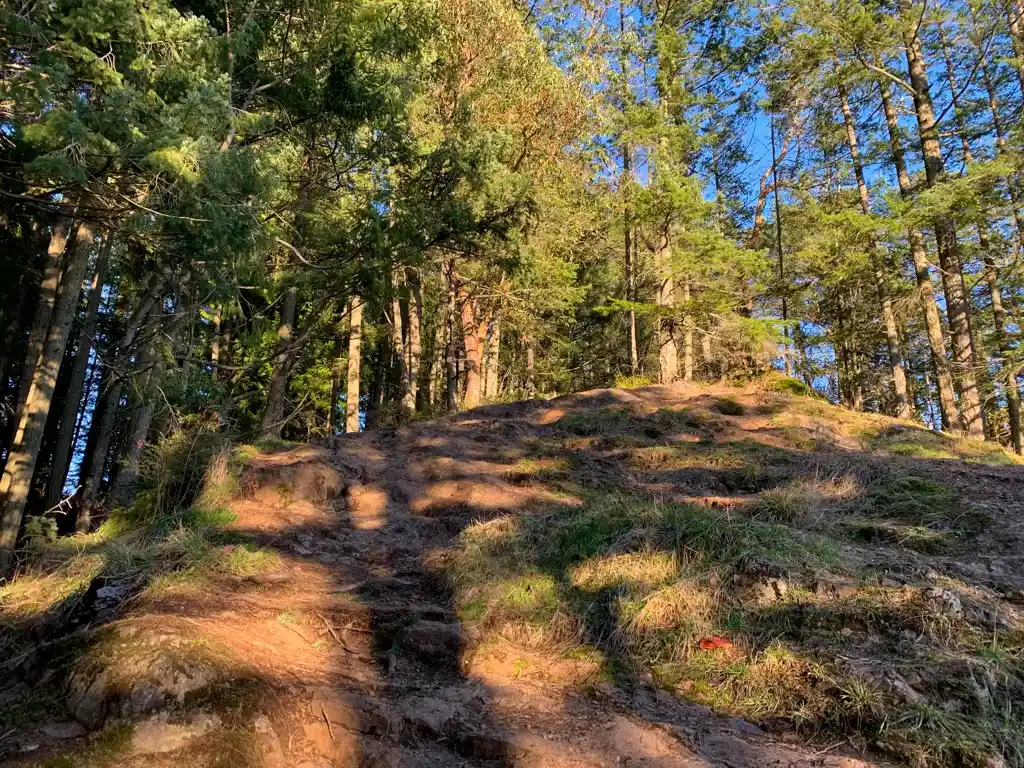 A steep rocky slope with patches of grass on Soames Hill on the Sunshine Coast, BC