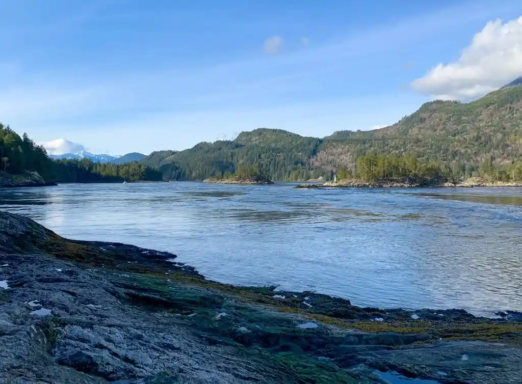 The view of Skookumchuck Narrows from Roland Point