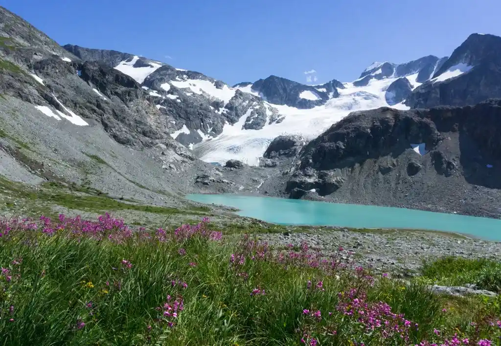 Wedgemount Lake - Trip 4 in Backpacking in Southwestern British Columbia