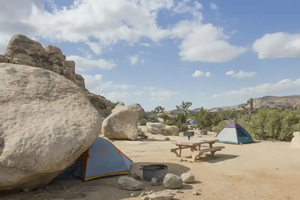 Tents at the Ryan Campground - one of the best reservable campgrounds in Joshua Tree National Park