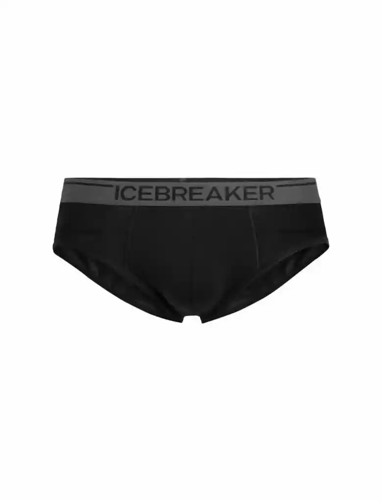 Icebreaker anatomic mens briefs
