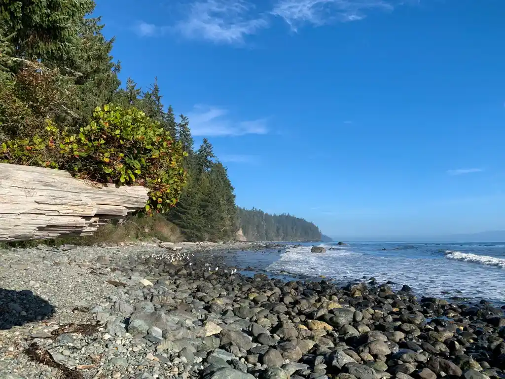 The view from Bear Beach Camp