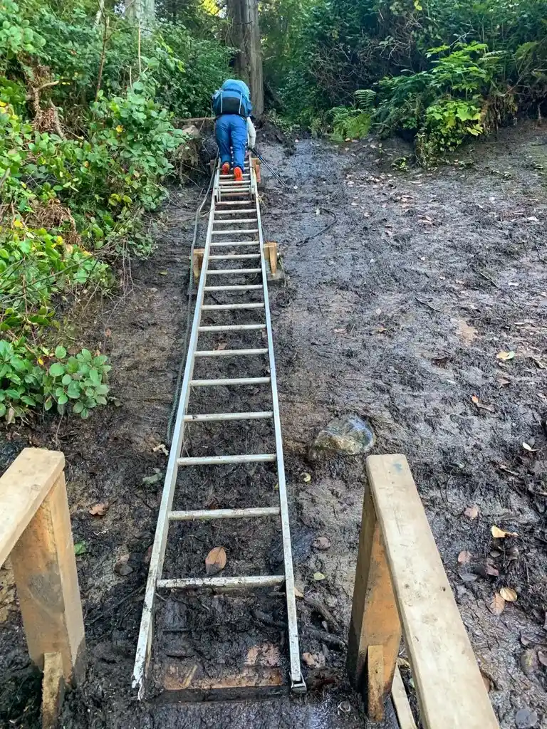 Temporary ladder at Bear Beach